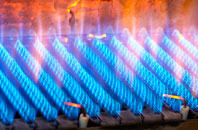 Cwm Capel gas fired boilers